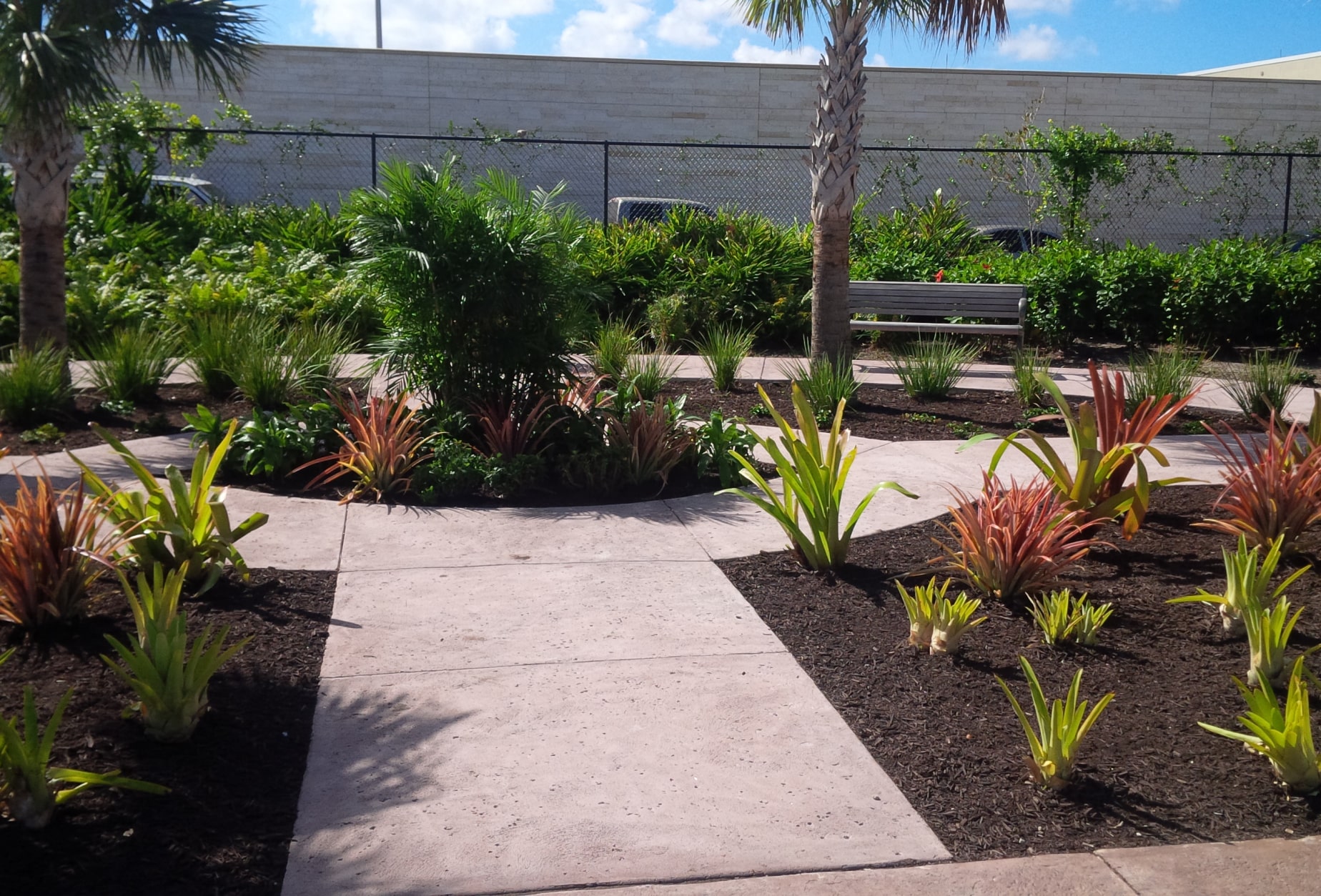 Garden at LPIA