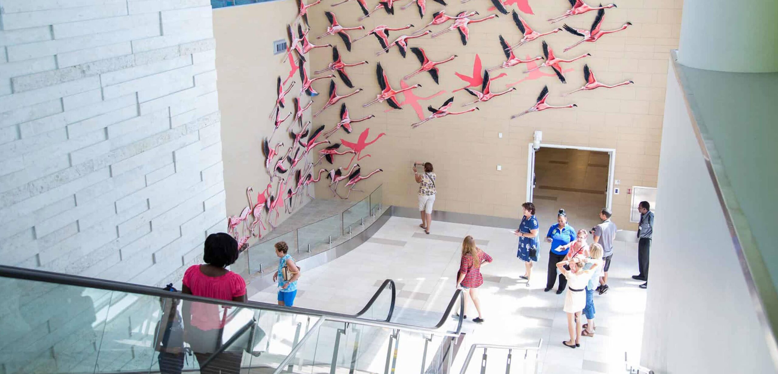 A Photo of the escalator in LPIA with an art installation of flamingos on the wall.